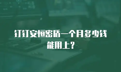 钉钉安恒密盾一个月多少钱能用上？