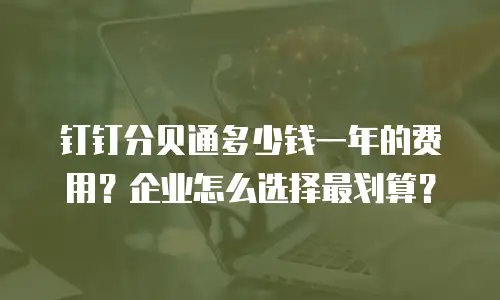 钉钉分贝通多少钱一年的费用？企业怎么选择最划算？