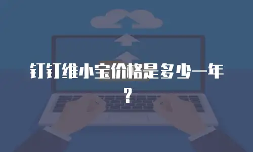 钉钉维小宝价格是多少一年？