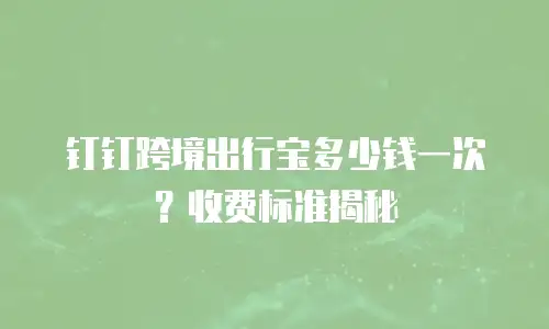 钉钉跨境出行宝多少钱一次？收费标准揭秘