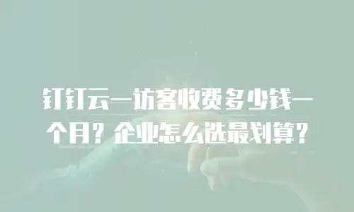 钉钉云一访客收费多少钱一个月？企业怎么选最划算？