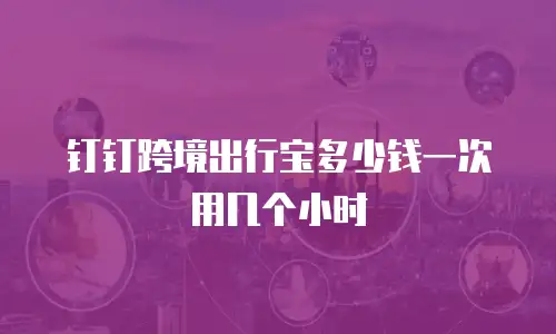 钉钉跨境出行宝多少钱一次用几个小时