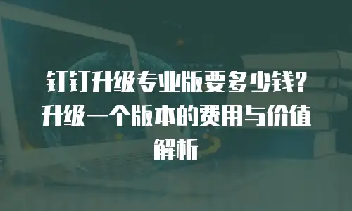 钉钉升级专业版要多少钱？升级一个版本的费用与价值解析