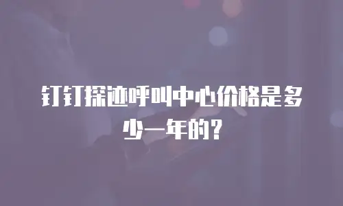 钉钉探迹呼叫中心价格是多少一年的？