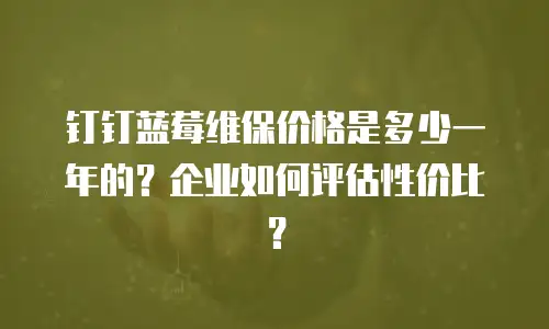 钉钉蓝莓维保价格是多少一年的？企业如何评估性价比？