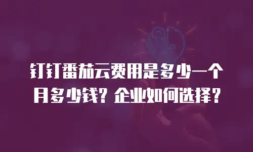 钉钉番茄云费用是多少一个月多少钱？企业如何选择？