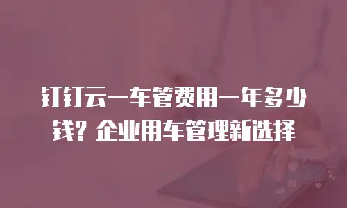 钉钉云一车管费用一年多少钱？企业用车管理新选择