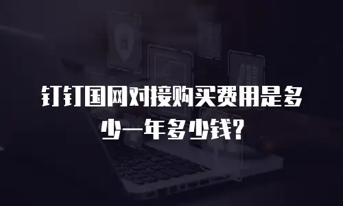 钉钉国网对接购买费用是多少一年多少钱？