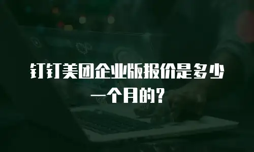 钉钉美团企业版报价是多少一个月的？