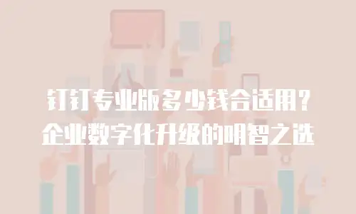 钉钉专业版多少钱合适用？企业数字化升级的明智之选