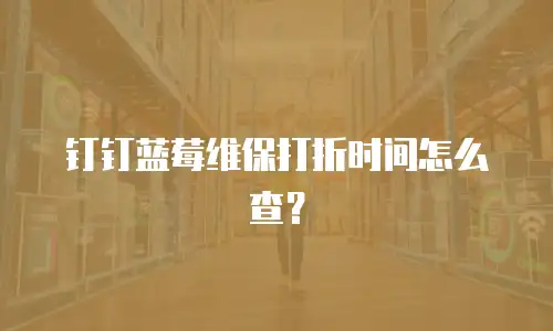 钉钉蓝莓维保打折时间怎么查？