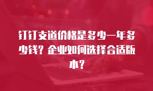 钉钉支道价格是多少一年多少钱？企业如何选择合适版本？