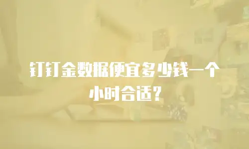 钉钉金数据便宜多少钱一个小时合适？