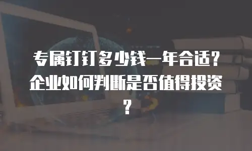 专属钉钉多少钱一年合适？企业如何判断是否值得投资？