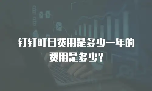 钉钉盯目费用是多少一年的费用是多少？