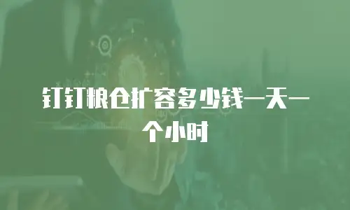 钉钉粮仓扩容多少钱一天一个小时