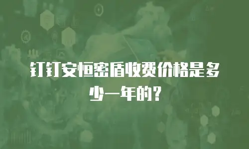 钉钉安恒密盾收费价格是多少一年的？