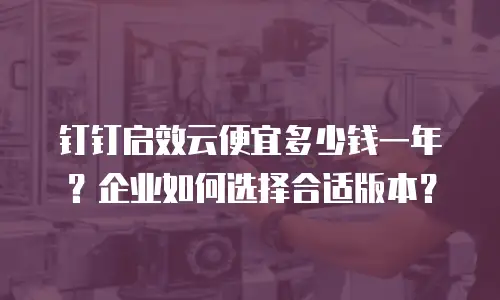 钉钉启效云便宜多少钱一年？企业如何选择合适版本？