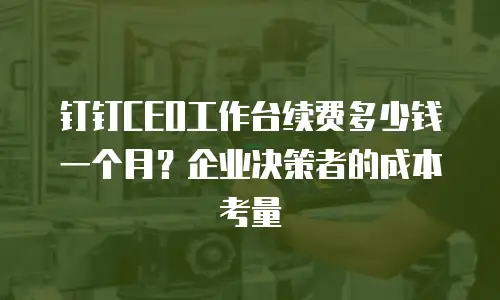钉钉CEO工作台续费多少钱一个月？企业决策者的成本考量