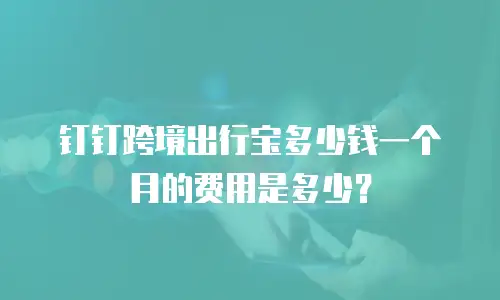 钉钉跨境出行宝多少钱一个月的费用是多少？