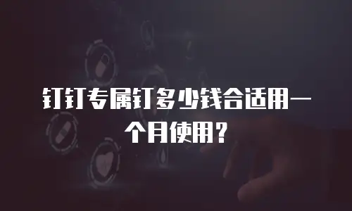钉钉专属钉多少钱合适用一个月使用？