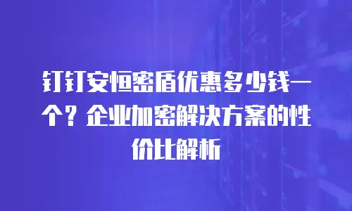 钉钉安恒密盾优惠多少钱一个？企业加密解决方案的性价比解析