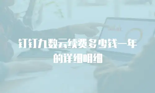 钉钉九数云续费多少钱一年的详细明细