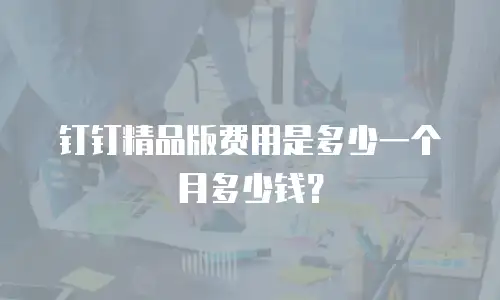 钉钉精品版费用是多少一个月多少钱？