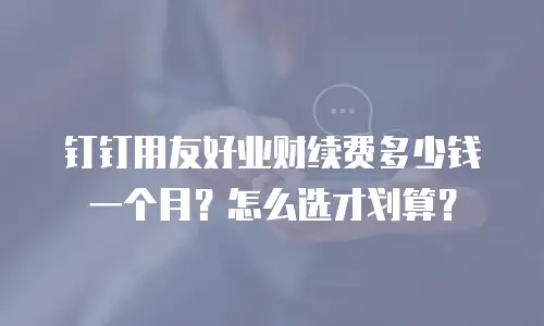 钉钉用友好业财续费多少钱一个月？怎么选才划算？