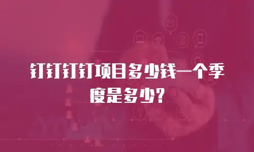 钉钉钉钉项目多少钱一个季度是多少？