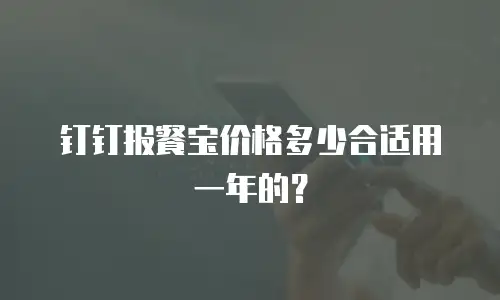 钉钉报餐宝价格多少合适用一年的？