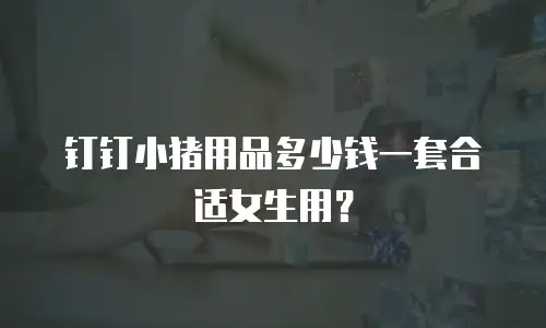钉钉小猪用品多少钱一套合适女生用？