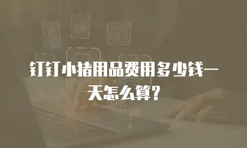 钉钉小猪用品费用多少钱一天怎么算？