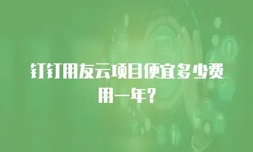 钉钉用友云项目便宜多少费用一年？