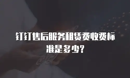 钉钉售后服务租赁费收费标准是多少？