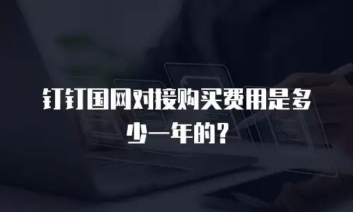 钉钉国网对接购买费用是多少一年的？