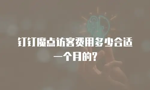 钉钉魔点访客费用多少合适一个月的？