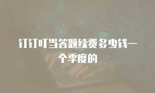 钉钉叮当答题续费多少钱一个季度的