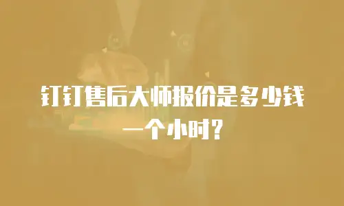钉钉售后大师报价是多少钱一个小时？