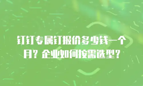 钉钉专属钉报价多少钱一个月？企业如何按需选型？
