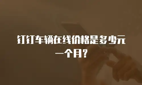 钉钉车辆在线价格是多少元一个月？