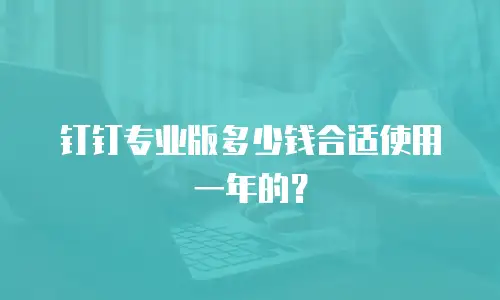钉钉专业版多少钱合适使用一年的？