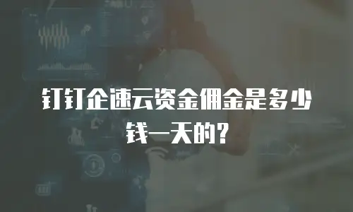 钉钉企速云资金佣金是多少钱一天的？