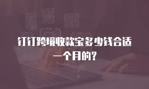 钉钉跨境收款宝多少钱合适一个月的？
