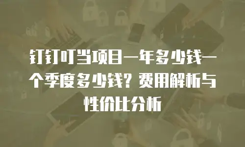 钉钉叮当项目一年多少钱一个季度多少钱？费用解析与性价比分析