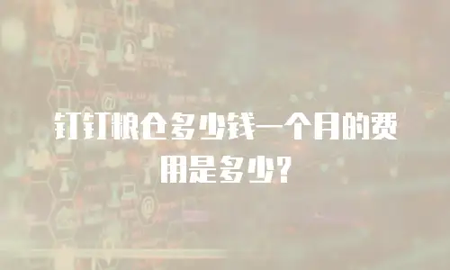 钉钉粮仓多少钱一个月的费用是多少？