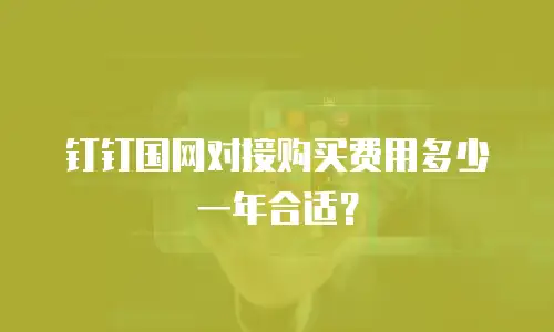 钉钉国网对接购买费用多少一年合适？