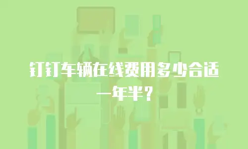 钉钉车辆在线费用多少合适一年半？