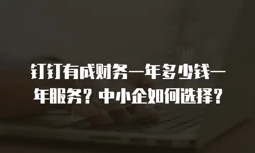 钉钉有成财务一年多少钱一年服务？中小企如何选择？
