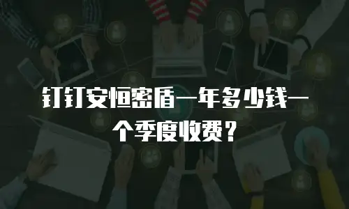 钉钉安恒密盾一年多少钱一个季度收费？